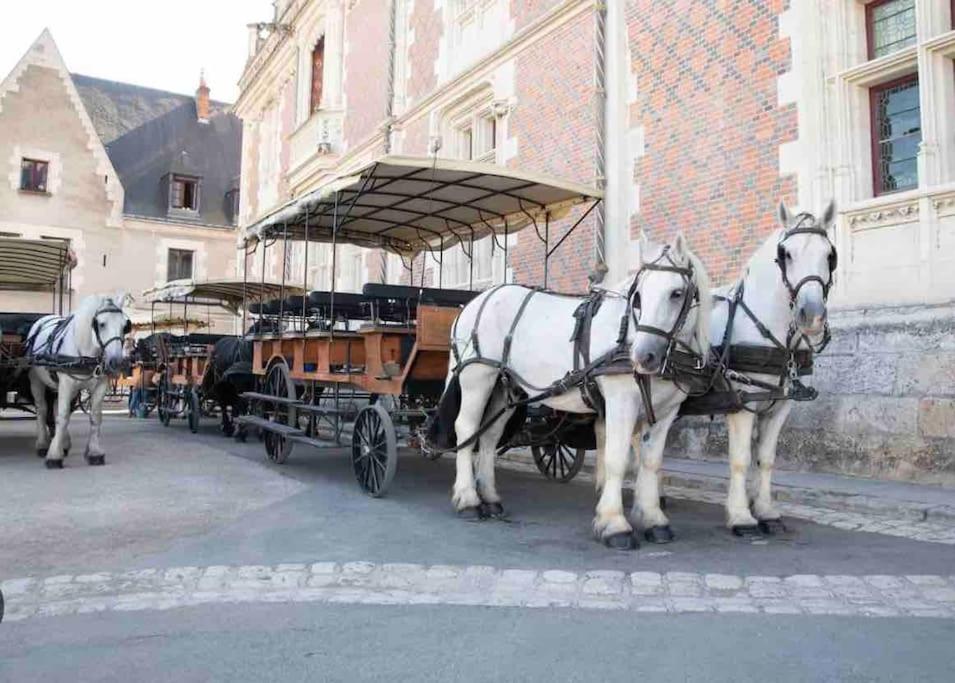 Petite Maison Avec Clim Blois Dış mekan fotoğraf